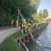 Wasserrettung / Waldbrand 05.2018